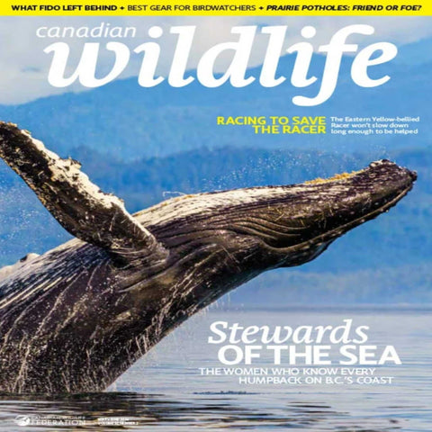 Canadian Wildlife | May/June 2026 | Humpback Whales, Eastern Yellow-bellied Racer, Birdwatching and Wildlife Conservation