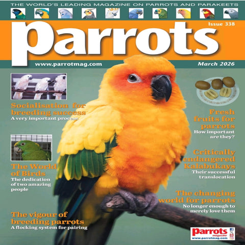Parrots Magazine March 2026 Digital Edition | Bird Care & Parrot Experts